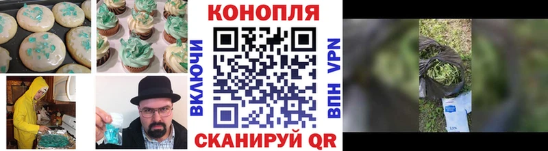 Cannafood конопля  Нахабино 
