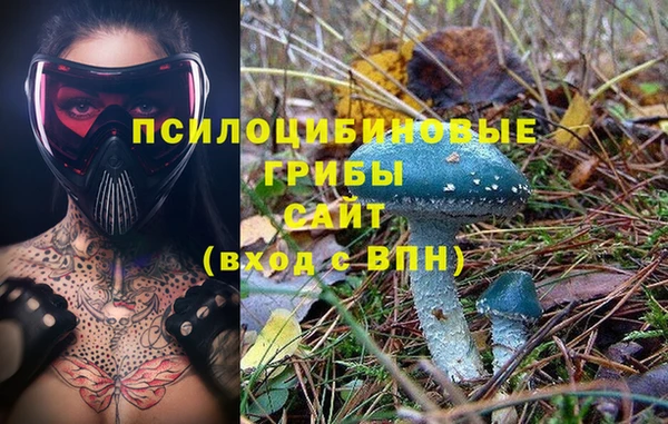 ГАЛЛЮЦИНОГЕННЫЕ ГРИБЫ Новокубанск
