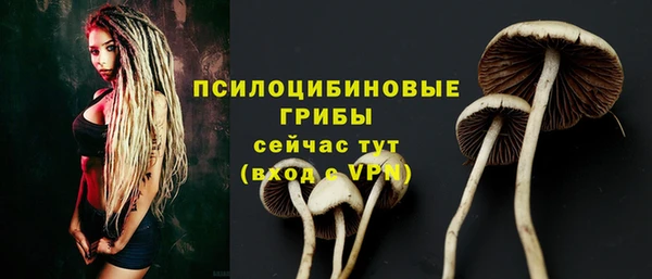 ГАЛЛЮЦИНОГЕННЫЕ ГРИБЫ Абаза