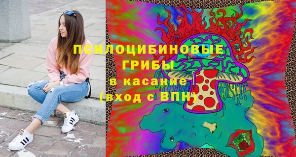 мдпв Новозыбков